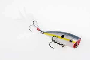 Strike King KVD Splash 2.75in 3/8oz Sexy Shad