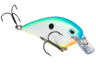 Strike King KVD Square Bill 7/16oz Citrus Shad