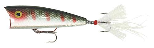 Rebel Pop-R Plus 1/4 Green Perch