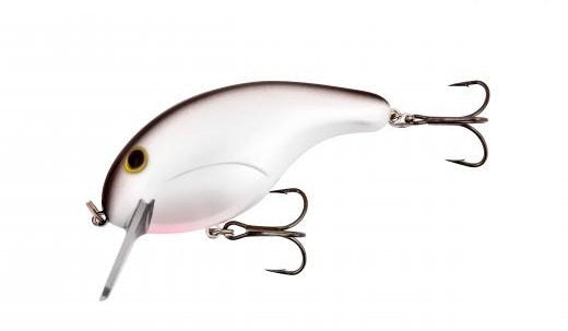 Bandit Rackit 4-6ft  2.75in 5/8oz Pearl Black Back