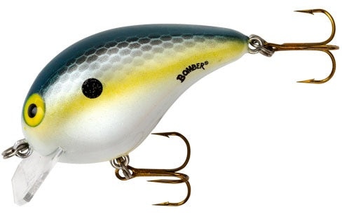 Bomber Square A 1/4 1-5/8 0-3ft Foxy Shad