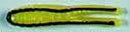 H&H Cajun Spin Hook Tail 1/4 Yel.BlackStp