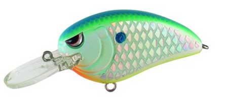 Spro Little John MD 50 1/2oz Citrus Shad