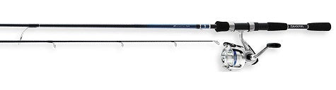 Daiwa Combo D-Shock Spinning Combo 2BB 5' 6" 2pc L