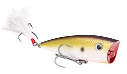 Strike King KVD Splash 2.75in 3/8oz TN Shad 2.0