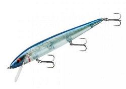 Smithwick Perfect 10 Rogue 5.5" Blue Herring