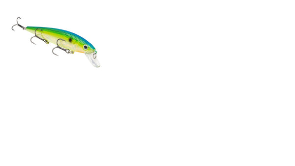 Strike King KVD Jerkbait 3 Hook 5.5in Pro Citrus Shad