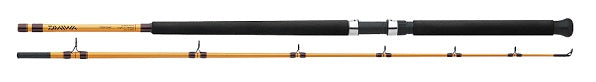 Daiwa FT Surf Spinning Rod 9' 2pc M