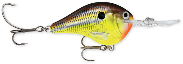 Rapala DT Series 6' 3/8 2" Hot Mustard