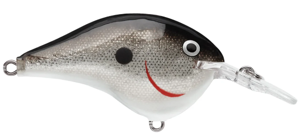 Rapala DT Series 6' 3/8 2" Silver