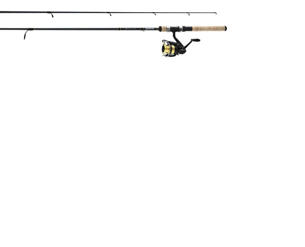 Daiwa Combo D-Shock Spinning Combo 1BB 6' 2pc ML