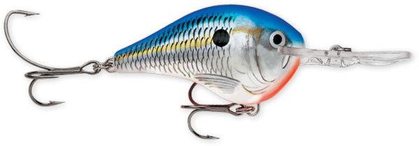 Rapala DT Series 10' 3/5oz 2.25in Blue Shad