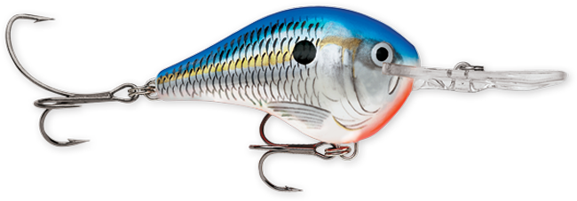 Rapala DT Series 10' 3/5oz 2.25in Blue Shad