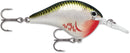 Rapala DT Series 6' 3/8 2" Bleeding Olive Shiner
