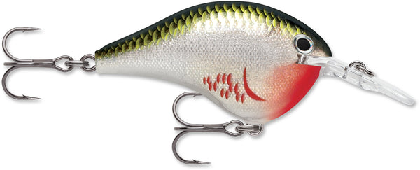 Rapala DT Series 6' 3/8 2" Bleeding Olive Shiner