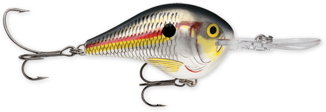 Rapala DT Series 3/4 Shad