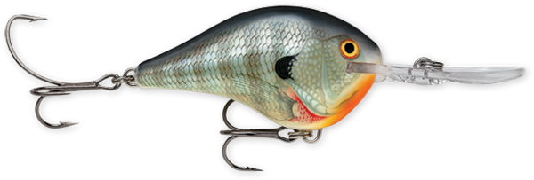 Rapala DT Series 3/5 Blue Gill