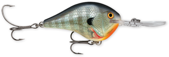 Rapala DT Series 3/5 Blue Gill