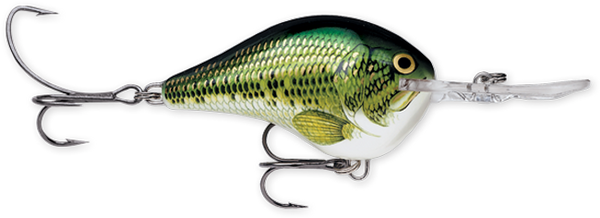 Rapala DT Series 10' 3/5oz 2.25in Live River Shad