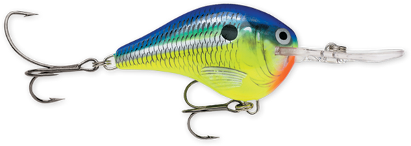 Rapala DT Series 3/8 2" Parrot