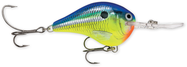 Rapala DT Series 3/8 2" Parrot