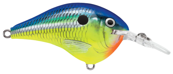 Rapala DT Series 6' 3/8 2" Parrot