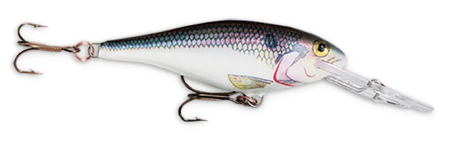 Rapala Shad Rap 2 3/4" 1/4 Shad