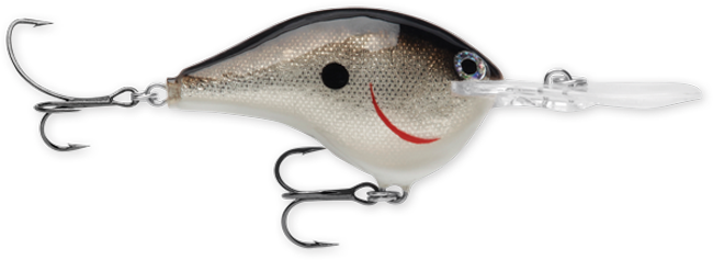 Rapala DT Series 10' 3/5oz 2.25in Silver