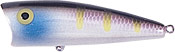 Rebel Pop-R Plus 1/4 Purple Shad