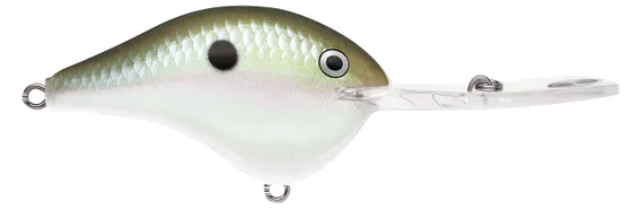 Rapala DT 20' Series Green Gizzard Shad