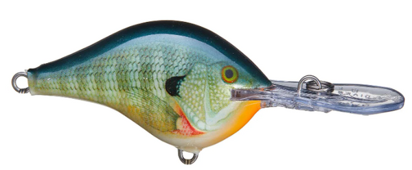 Rapala DT Series 3/8 2" Bluegill