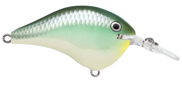 Rapala DT Series 6' 3/8 2" Blue Back Herring