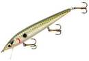 Smithwick Menendez Rattlin Rogue 4.5" Avacado Shad