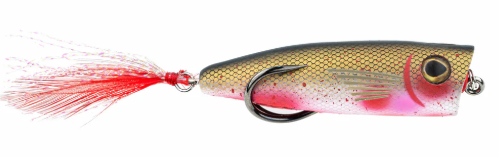 Snagproof Zoo Pop Bloody Shad 3/8oz