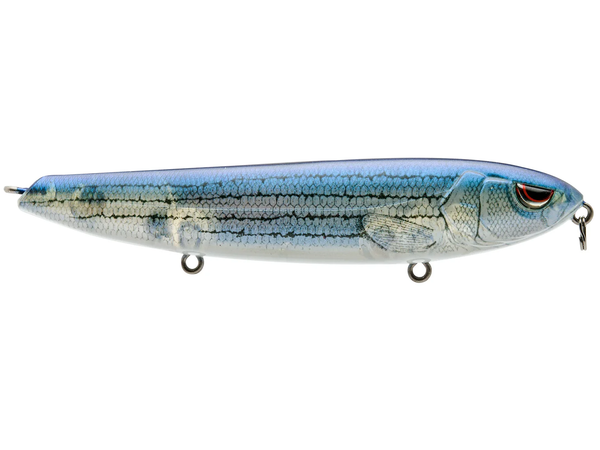 Spro Walking Haint 125 5in 3/4oz Baby Striper