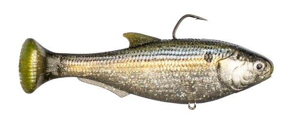 Z-MAN Shadtron LT4.5in. Fast Sink Threadfin Shad