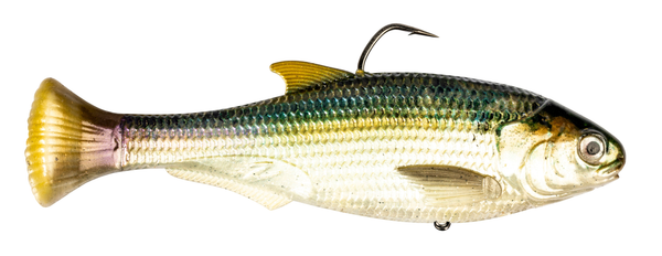 Z-MAN Shadtron LT4.5in. Fast Sink Blueback Herring