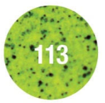 Do-It Powder Paint 2oz Chartreuse Pepper