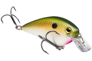 Strike King KVD Square Bill 7/16oz Tennessee Shad