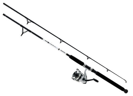 Daiwa Combo D-Wave Spin Combo 1BB 10' 2pc M